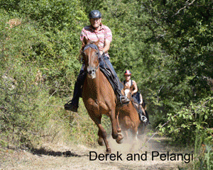 French Riding Holidays offer the very best in Riding Holidays in France, Horse Riding in France and Activity Holidays in France